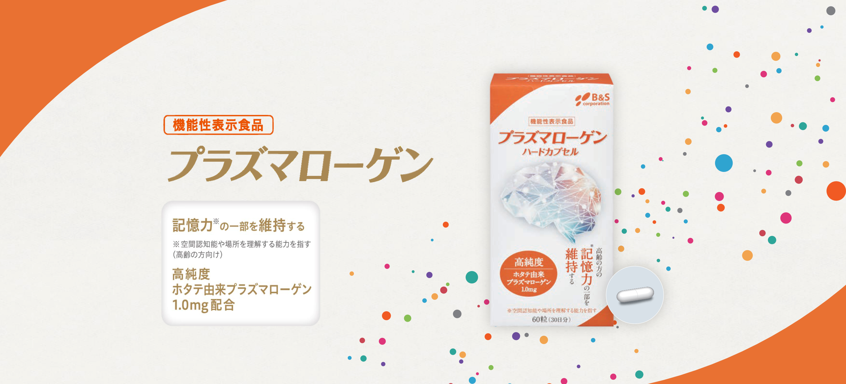 アルベックスKV_初稿